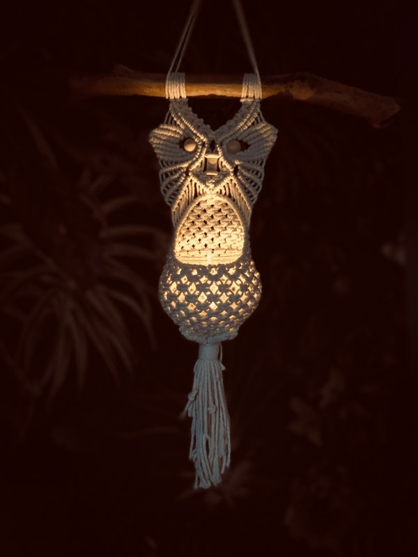 handgefertigtes Lichtspiel/Blumenampel Eule